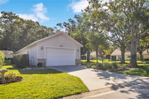 25036 CRANES ROOST CIRCLE, LEESBURG, FL 34748 - MLS#MFRG5102167