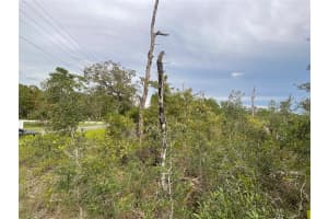 13101 THRASHER AVENUE, WEEKI WACHEE, FL 34614 - MLS#MFRG5102176