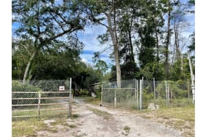 32741 PINE ROAD, EUSTIS, FL 32736 - MLS#MFRG5102242