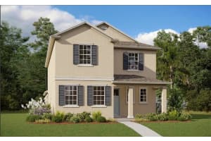6333 Wild Persimmon Way, WINTER GARDEN