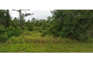 7935 LEONARDO STREET, SEBRING, FL 33872 - MLS#MFRG5102306