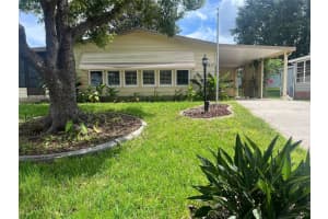 1617 Hilton Head Blvd, LADY LAKE