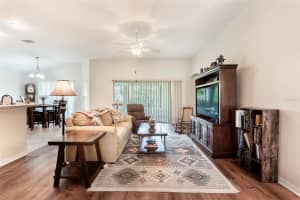 3009 OLENDA DRIVE, THE VILLAGES, FL 32163 - MLS#MFRG5102421