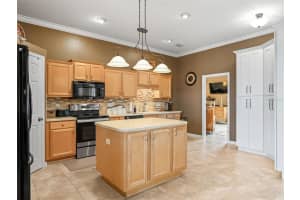 12163 176TH LOOP, SUMMERFIELD, FL 34491 - MLS#MFRG5102452
