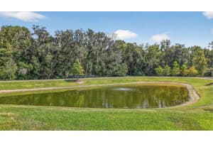 6743 SCHROEDER CIRCLE, THE VILLAGES, FL 34762 - MLS#MFRG5102464