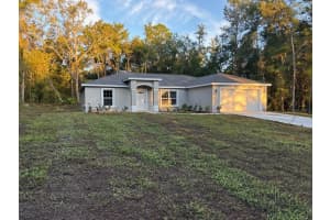 10210 DYAL DRIVE, CITRUS SPRINGS, FL 34434 - MLS#MFRG5102467