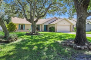 33006 INDIAN WOODS DRIVE, LEESBURG, FL 34788 - MLS#MFRG5102522