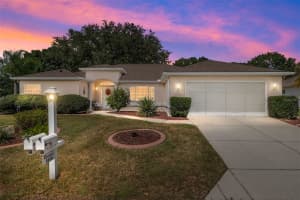 9009 136TH LOOP, SUMMERFIELD, FL 34491 - MLS#MFRG5102559