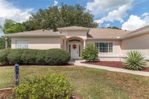 9009 136TH LOOP, SUMMERFIELD, FL 34491 - MLS#MFRG5102559