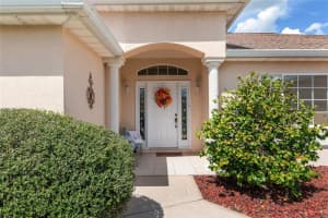 9009 136TH LOOP, SUMMERFIELD, FL 34491 - MLS#MFRG5102559