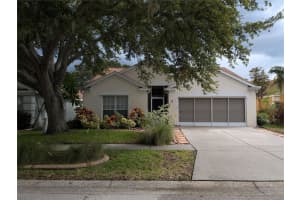 10507 Walker Vista Dr, RIVERVIEW