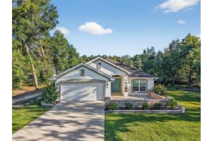 8703 159TH PLACE, SUMMERFIELD, FL 34491 - MLS#MFRG5102597