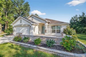 8703 159TH PLACE, SUMMERFIELD, FL 34491 - MLS#MFRG5102597