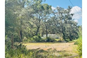 4547 128TH PLACE, WEBSTER, FL 33597 - MLS#MFRG5102598