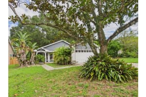 2013 Donnelly Pl, MOUNT DORA