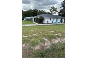 8660 SE 159TH, SUMMERFIELD, FL 34491 - MLS#MFRG5102661