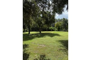 15450 STATE ROAD 19, GROVELAND, FL 34736 - MLS#MFRG5102678