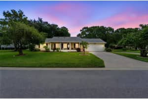 27107 RACQUET CIRCLE, LEESBURG, FL 34748 - MLS#MFRG5102686