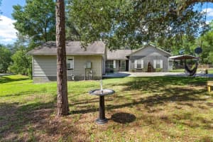 36301 PINEY RIDGE BOULEVARD, FRUITLAND PARK, FL 34731 - MLS#MFRG5102726