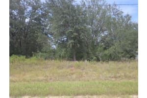 823 DELLBROOK LANE, DUNNELLON, FL 34434 - MLS#MFRG5102763