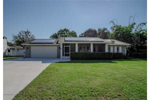 258 Bay Rd, MOUNT DORA 258 Bay Rd, MOUNT DORA