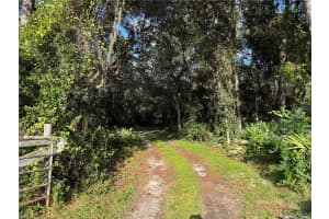 38510 COUNTY ROAD 439, EUSTIS, FL 32736 - MLS#MFRG5102790