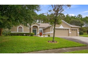 13218 LONG PINE TRAIL, CLERMONT, FL 34711 - MLS#MFRG5102798