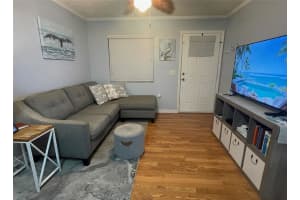 507 COTTAGE PARK LANE, LEESBURG, FL 34748 - MLS#MFRG5102820