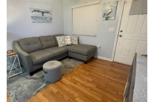 507 COTTAGE PARK LANE, LEESBURG, FL 34748 - MLS#MFRG5102820