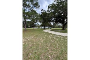 15299 N US HWY 441, REDDICK, FL 32686 - MLS#MFRG5102874