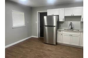 305 MOSS STREET, LEESBURG, FL 34748 - MLS#MFRG5102893