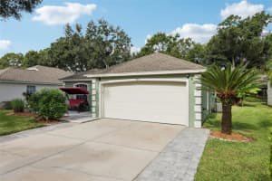 317 BAYTREE BOULEVARD, TAVARES, FL 32778 - MLS#MFRG5102925