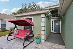 317 BAYTREE BOULEVARD, TAVARES, FL 32778 - MLS#MFRG5102925