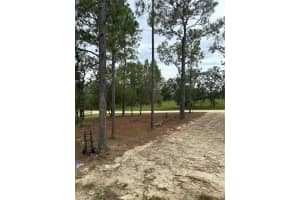 MLS# MFRG5102929, Morriston, Florida 32668