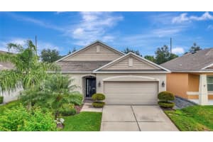 1245 WATER WILLOW DRIVE, GROVELAND, FL 34736 - MLS#MFRG5102945