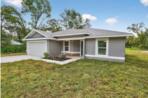 36 FISHER LANE COURSE, OCKLAWAHA, FL 32179 - MLS#MFRG5102969