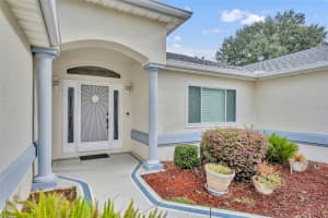 9025 136TH LOOP, SUMMERFIELD, FL 34491 - MLS#MFRG5102970