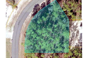 SW 75TH CT, OCALA, FL 34473 - MLS#MFRG5103024