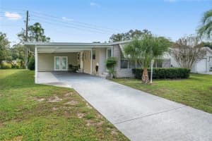1335 SCHWARTZ BOULEVARD, THE VILLAGES, FL 32159 - MLS#MFRG5103039