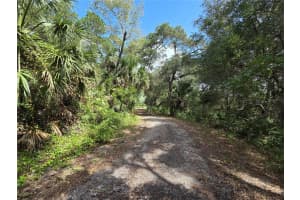 17755 SE 283RD AVENUE, UMATILLA, FL 32784 - MLS#MFRG5103047