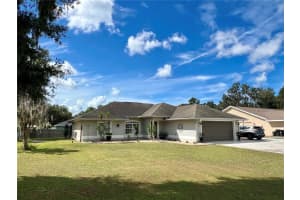 1022 Cr 463b, LAKE PANASOFFKEE