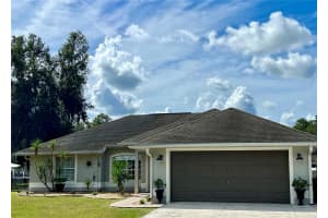 1022 CR 463B, LAKE PANASOFFKEE, FL 33538 - MLS#MFRG5103049