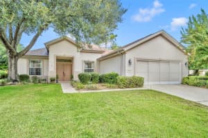 12176 91ST AVENUE, SUMMERFIELD, FL 34491 - MLS#MFRG5103054