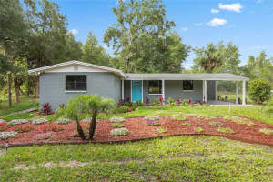 4123 COUNTY ROAD 124, WILDWOOD, FL 34785 - MLS#MFRG5103084