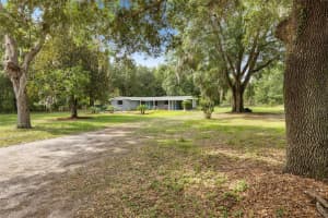 4123 COUNTY ROAD 124, WILDWOOD, FL 34785 - MLS#MFRG5103084