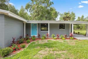 4123 COUNTY ROAD 124, WILDWOOD, FL 34785 - MLS#MFRG5103084