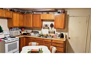 372 COLLINS STREET, UMATILLA, FL 32784 - MLS#MFRG5103102