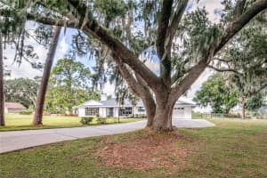 29000 SHIRLEY SHORES RD, TAVARES, FL 32778 - MLS#MFRG5103120
