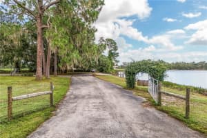 29000 SHIRLEY SHORES RD, TAVARES, FL 32778 - MLS#MFRG5103120