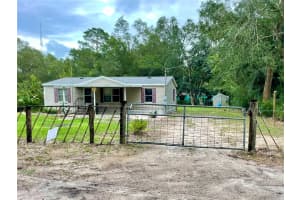 44246 BERWICK STREET, PAISLEY, FL 32767 - MLS#MFRG5103167